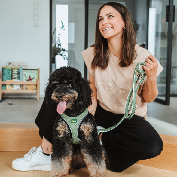 Hunter шлейка для собак Hilo Comfort 33-36 см, сетчатый текстиль, оливковая