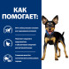 Hills Prescription Diet Metabolic Mini сухой диетический корм для собак мелких пород для снижения и контроля веса, с курицей - 3 кг