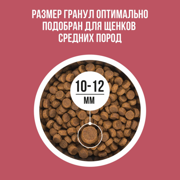 BOWL WOW сухой корм для щенков средних пород с индейкой, рисом и клюквой - 2 кг