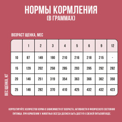 BOWL WOW сухой корм для щенков средних пород с индейкой, рисом и клюквой - 2 кг