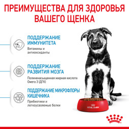 Royal Canin Maxi Puppy сухой корм для щенков крупных пород до 15 месяцев - 15 кг