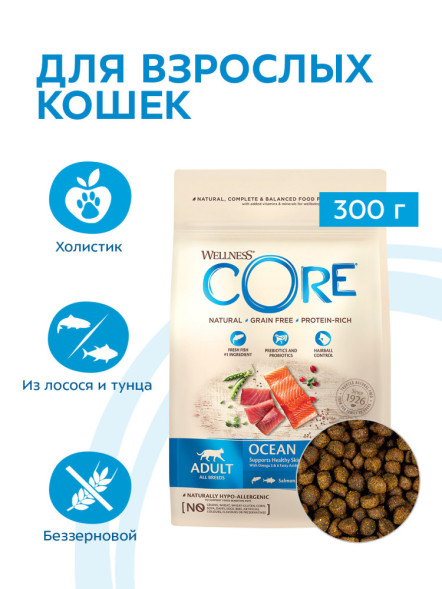 Wellness Core сухой корм для взрослых кошек с лососем и тунцом 300 г