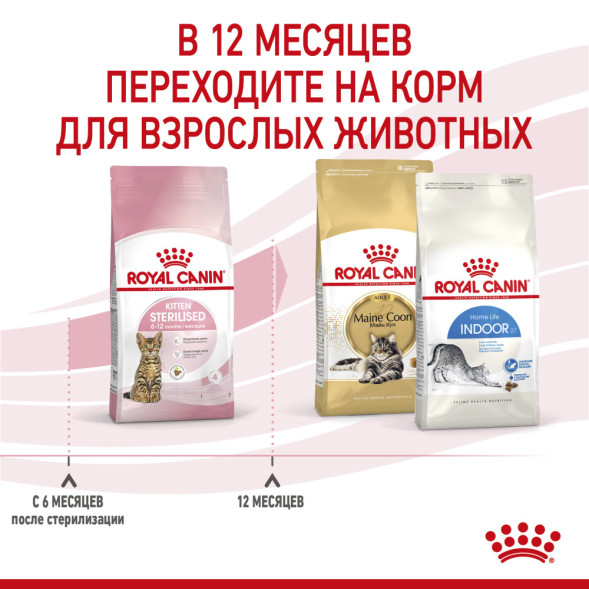 Royal Canin Kitten Sterilised сухой корм для стерилизованных котят - 3,5 кг