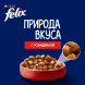 Felix Природа вкуса влажный корм для взрослых кошек, с говядиной, в паучах - 75 г х 26 шт