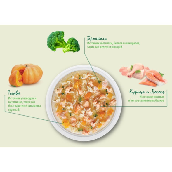 Guabi Natural Dog Grain Free паучи беззерновые для взрослых собак всех пород курица, лосось и овощи - 100 г x 18 шт