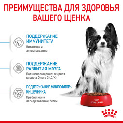 Royal Canin X - Small Puppy сухой корм для щенков миниатюрных пород - 500 г