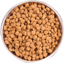 Wellness Core сухой корм для стерилизованных кошек с лососем 4 кг