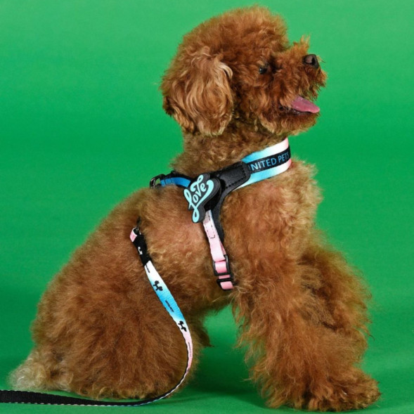 United Pets Complete me 2.5 - M шлейка для собак, 40-54 см, розово-голубой тай-дай