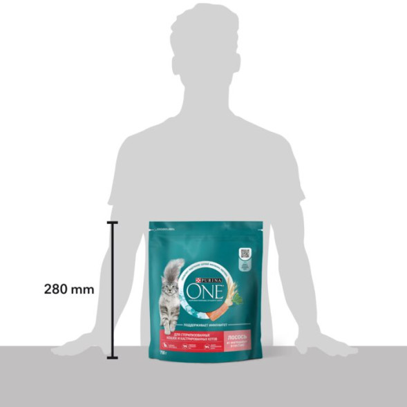 Сухой корм для стерилизованных кошек Purina ONE с лососем и пшеницей 750 г