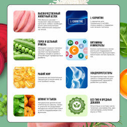 BOWL WOW сухой корм для щенков мелких пород с индейкой, рисом и шпинатом - 2 кг