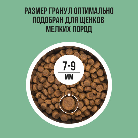 BOWL WOW сухой корм для щенков мелких пород с индейкой, рисом и шпинатом - 2 кг