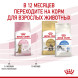 Royal Canin Kitten Sterilised сухой корм для стерилизованных котят - 2 кг
