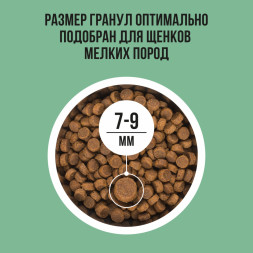 BOWL WOW сухой корм для щенков мелких пород с индейкой, рисом и шпинатом - 800 г