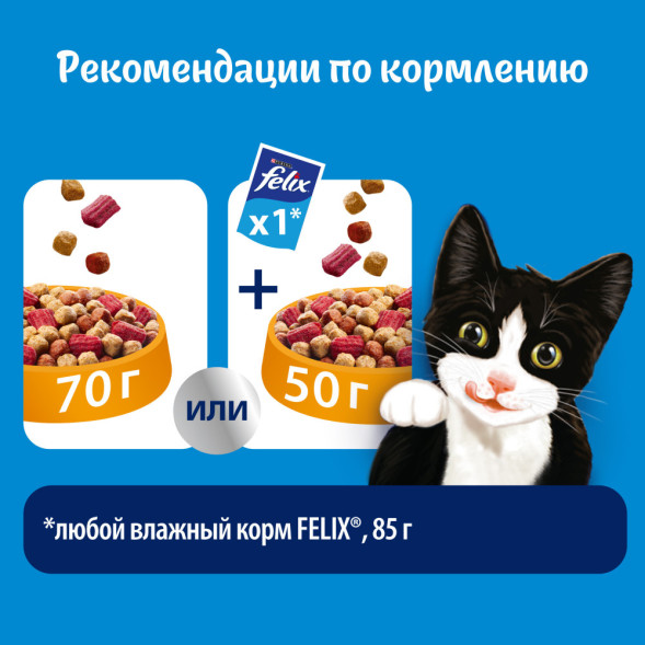 Felix Двойная вкуснятина сухой корм для взрослых кошек с птицей - 200 г