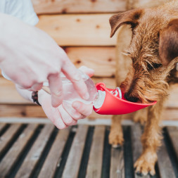 Hunter List бутылка для воды, 550 мл, красная