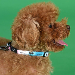 United Pets Complete me M ошейник для собак 20х340/560 мм, розово-голубой тай-дай