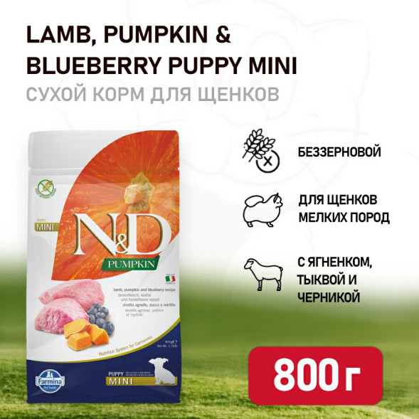 Farmina N&amp;amp;D Pumpkin Dog Grain Free Lamb &amp;amp; Blueberry Puppy Mini сухой беззерновой корм для щенков мелких пород с ягненком, черникой и тыквой - 800 г