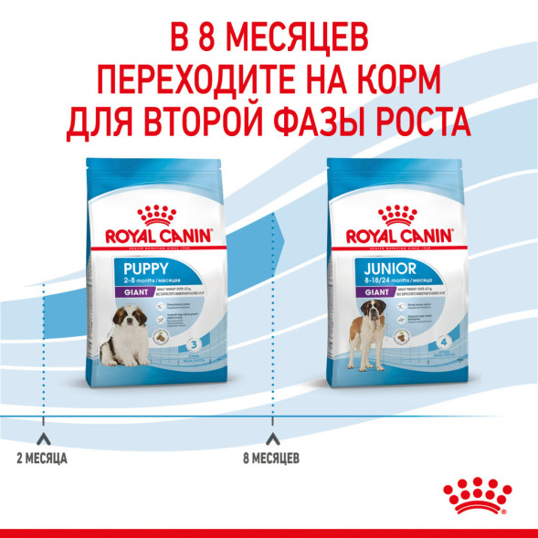 Royal Canin Giant Puppy сухой корм для щенков гигантских пород с 2 до 8 месяцев - 15 кг