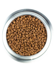 Wellness Сore сухой корм для щенков мелких и средних пород с индейкой и курицей 10 кг