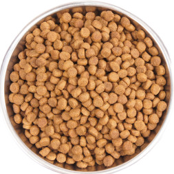 Wellness Core сухой корм для взрослых кошек с индейкой и курицей 300 г