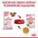 Royal Canin Kitten паучи для котят до 12 месяцев кусочки в желе - 85 г х 24 шт