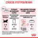 Royal Canin Kitten паучи для котят до 12 месяцев кусочки в желе - 85 г х 24 шт