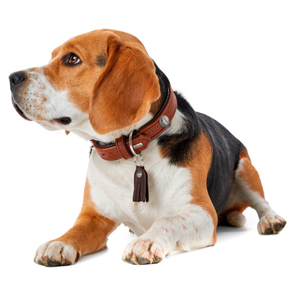 Hunter Cody 45 ошейник для собак, 33-39 см/2,8, кожа бизона, темно коричневый