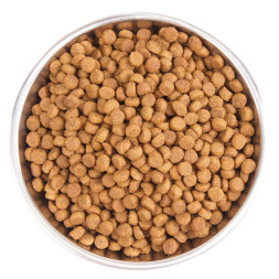 Wellness Core сухой корм для взрослых кошек с индейкой и курицей 1,75 кг