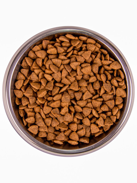 Monge Cat BWild Grain Free сухой беззерновой корм для взрослых кошек с треской 1,5 кг