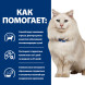 Hills Prescription Diet c/d диетический сухой корм для кошек при стрессе с океанической рыбой - 1,5 кг