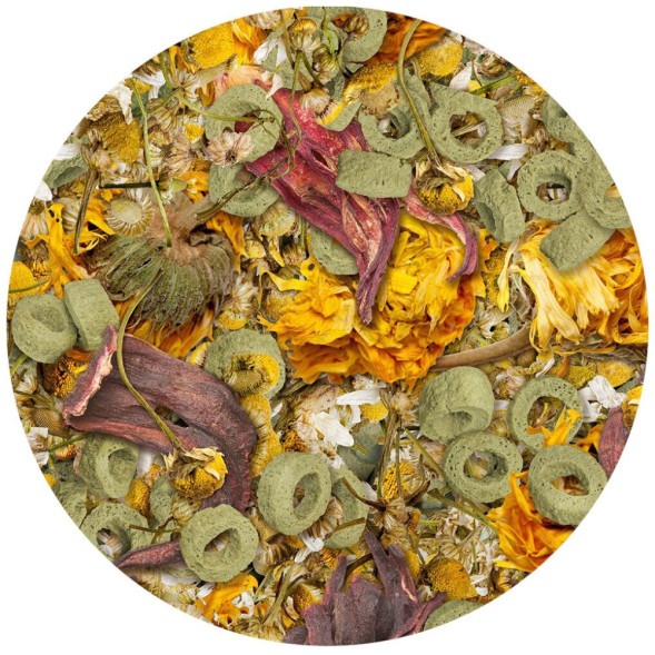 Sera Flowers’n’Loops корм для рептилий - 1 л (140 г)