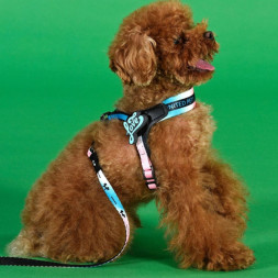 United Pets Complete me 0.5 - XXXS шлейка для собак, 25-33 см, розово-голубой тай-дай