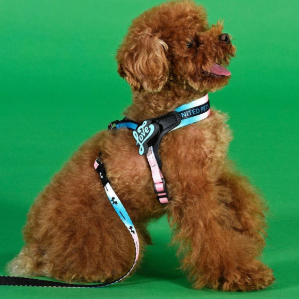 United Pets Complete me 0.5 - XXXS шлейка для собак, 25-33 см, розово-голубой тай-дай