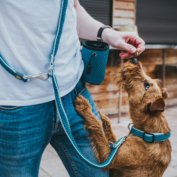 Hunter сумочка для лакомств Hilo Basic 24х13х10 см, бирюзова