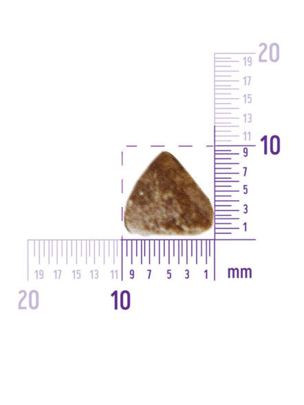 Wellness Core сухой корм для щенков мелких и средних пород с индейкой и курицей 1,5 кг