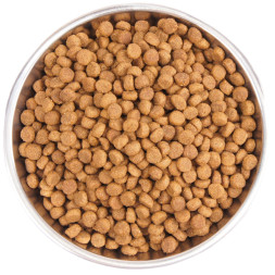 Wellness Core сухой корм для котят с индейкой 300 г