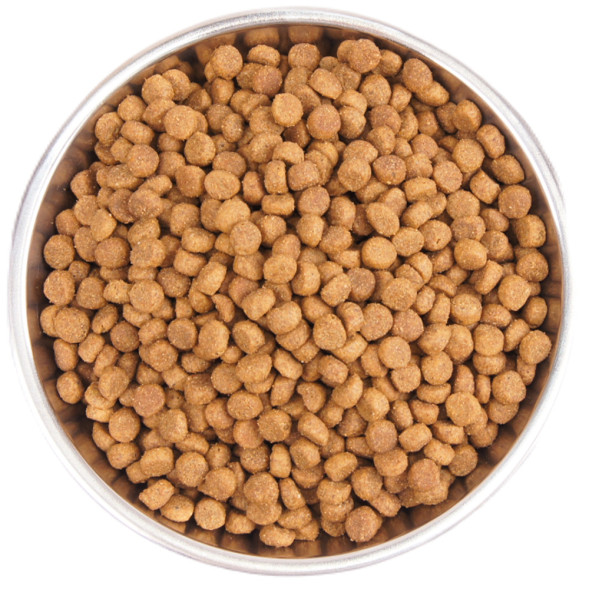 Wellness Core сухой корм для котят с индейкой 300 г