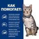 Hills Prescription Diet c/d Metabolic + Urinary Stress диетический сухой корм для кошек при урологических заболеваниях и для достижения и поддержания оптимального веса, с курицей - 1,5 кг