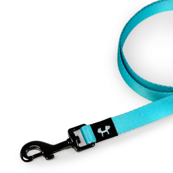 United Pets Complete me поводок для собак, 120 см, 25 мм, голубой с оранжевым