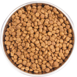 Wellness Core сухой корм для котят с индейкой 1,75 кг