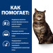 Hills Prescription Diet k/d Early Stage диетический сухой корм для кошек при заболеваниях почек на ранней стадии, с курицей - 3 кг