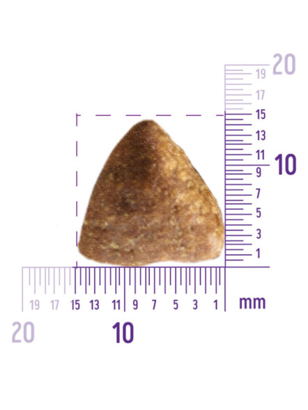 Wellness Сore сухой корм для взрослых собак крупных пород с курицей 10 кг