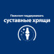Hills Prescription Diet j/d диетический сухой корм для кошек при заболеваниях суставов, с курицей - 1,5 кг