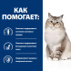 Hills Prescription Diet j/d диетический сухой корм для кошек при заболеваниях суставов, с курицей - 1,5 кг