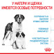 Royal Canin Giant Starter Mother &amp;amp; Babydog для щенков крупных размеров до 2-месяцев и сук в последней трети беременности и во время лактации - 4 кг