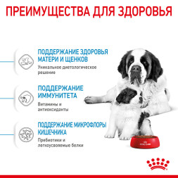 Royal Canin Giant Starter Mother &amp;amp; Babydog для щенков крупных размеров до 2-месяцев и сук в последней трети беременности и во время лактации - 4 кг