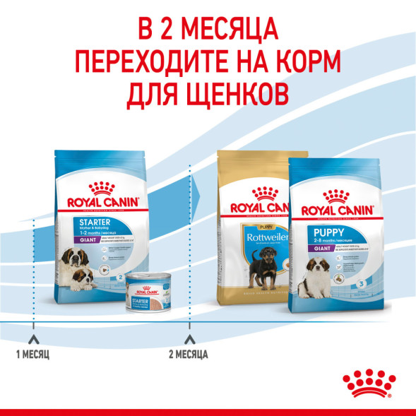 Royal Canin Giant Starter Mother &amp;amp; Babydog для щенков крупных размеров до 2-месяцев и сук в последней трети беременности и во время лактации - 4 кг