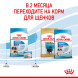 Royal Canin Giant Starter Mother &amp;amp; Babydog для щенков крупных размеров до 2-месяцев и сук в последней трети беременности и во время лактации - 4 кг