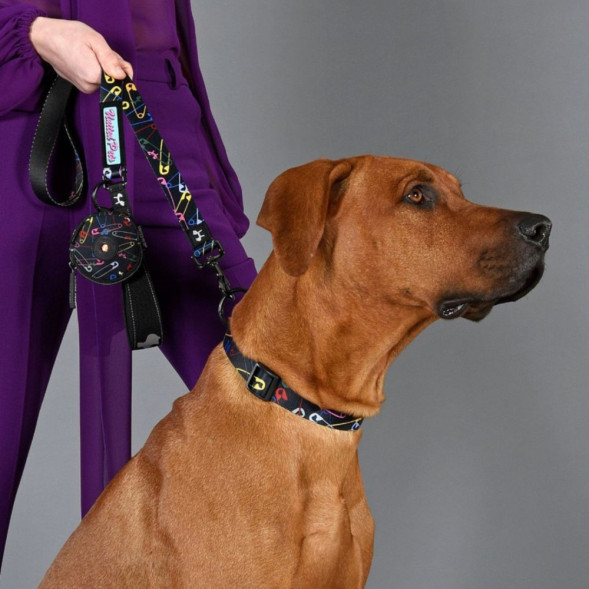 United Pets Complete me поводок для собак, 25х1200 мм, черный с разноцветными булавками