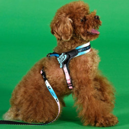 United Pets Complete me 3.5 - XL шлейка для собак, 48-64 см, розово-голубой тай-дай